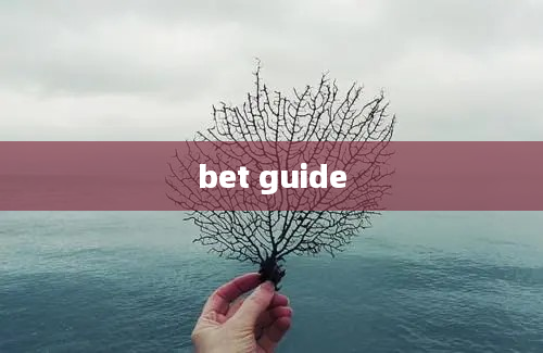 bet guide