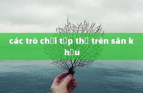 các trò chơi tập thể trên sân khấu