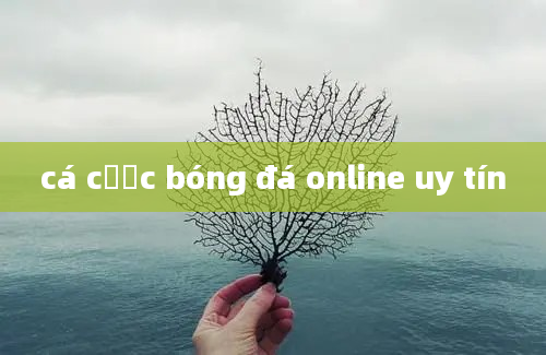 cá cược bóng đá online uy tín