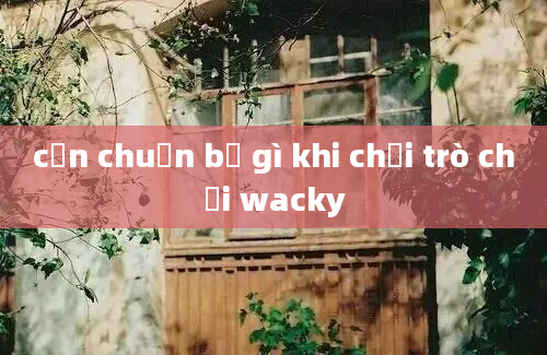 cần chuẩn bị gì khi chơi trò chơi wacky