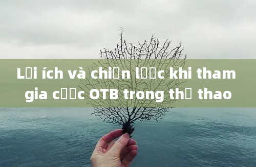 Lợi ích và chiến lược khi tham gia cược OTB trong thể thao