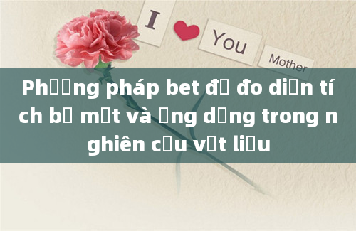 Phương pháp bet để đo diện tích bề mặt và ứng dụng trong nghiên cứu vật liệu