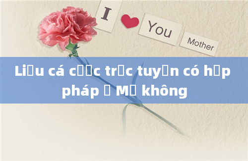 Liệu cá cược trực tuyến có hợp pháp ở Mỹ không