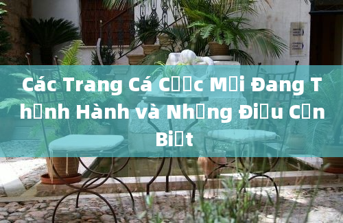 Các Trang Cá Cược Mới Đang Thịnh Hành và Những Điều Cần Biết