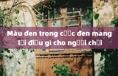 Màu đen trong cược đen mang lại điều gì cho người chơi