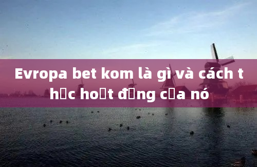 Evropa bet kom là gì và cách thức hoạt động của nó