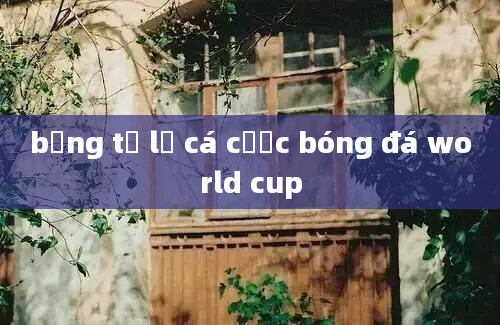 bảng tỷ lệ cá cược bóng đá world cup