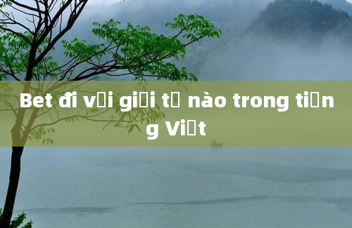 Bet đi với giới từ nào trong tiếng Việt