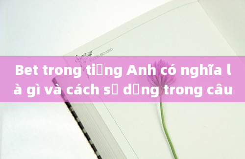 Bet trong tiếng Anh có nghĩa là gì và cách sử dụng trong câu