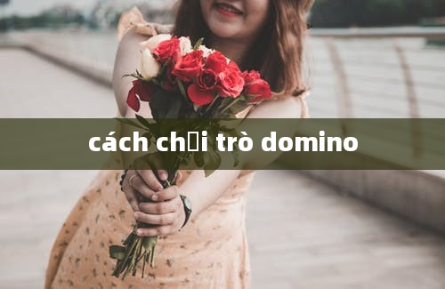 cách chơi trò domino