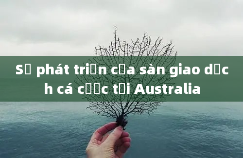 Sự phát triển của sàn giao dịch cá cược tại Australia