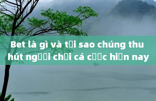 Bet là gì và tại sao chúng thu hút người chơi cá cược hiện nay