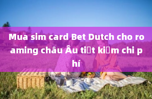 Mua sim card Bet Dutch cho roaming châu Âu tiết kiệm chi phí