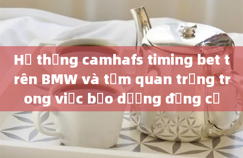 Hệ thống camhafs timing bet trên BMW và tầm quan trọng trong việc bảo dưỡng động cơ