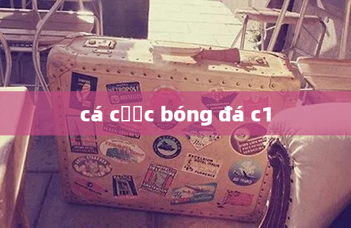 cá cược bóng đá c1