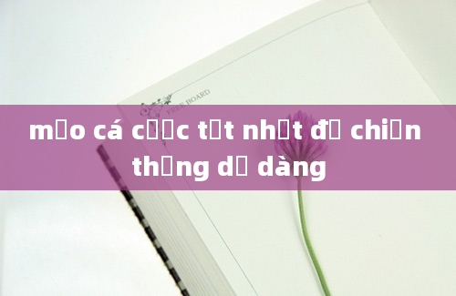 mẹo cá cược tốt nhất để chiến thắng dễ dàng