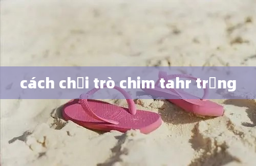 cách chơi trò chim tahr trứng