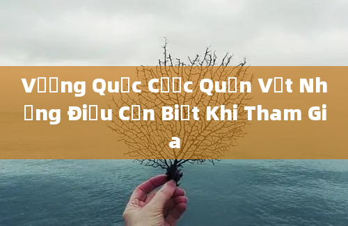 Vương Quốc Cược Quần Vợt Những Điều Cần Biết Khi Tham Gia