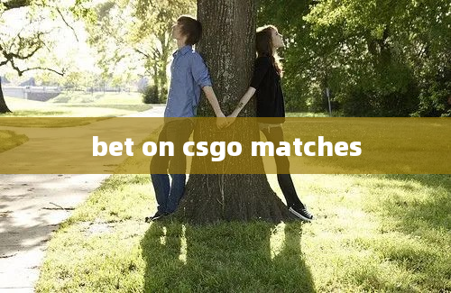 bet on csgo matches