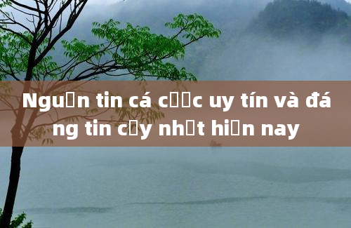 Nguồn tin cá cược uy tín và đáng tin cậy nhất hiện nay