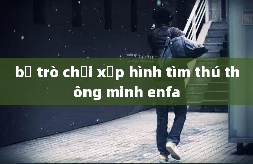 bộ trò chơi xếp hình tìm thú thông minh enfa