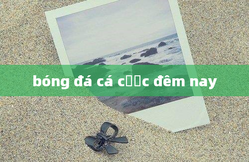 bóng đá cá cược đêm nay