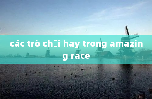 các trò chơi hay trong amazing race