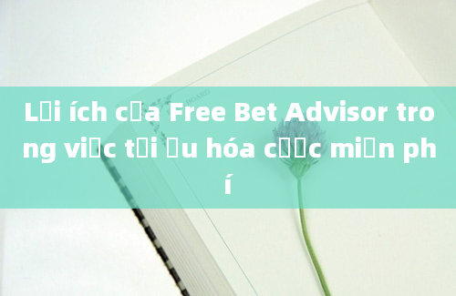 Lợi ích của Free Bet Advisor trong việc tối ưu hóa cược miễn phí