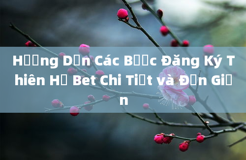 Hướng Dẫn Các Bước Đăng Ký Thiên Hạ Bet Chi Tiết và Đơn Giản