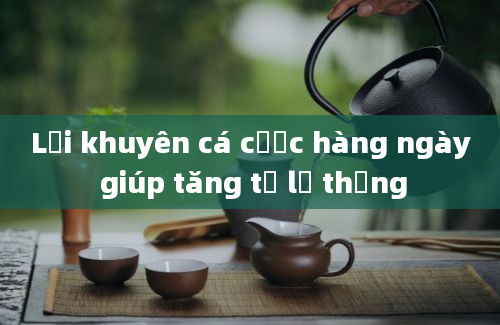 Lời khuyên cá cược hàng ngày giúp tăng tỷ lệ thắng