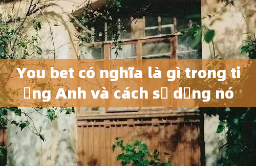 You bet có nghĩa là gì trong tiếng Anh và cách sử dụng nó