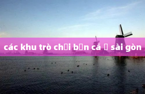 các khu trò chơi bắn cá ở sài gòn