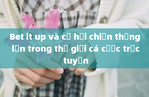 Bet it up và cơ hội chiến thắng lớn trong thế giới cá cược trực tuyến