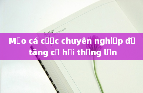 Mẹo cá cược chuyên nghiệp để tăng cơ hội thắng lớn