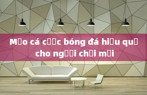 Mẹo cá cược bóng đá hiệu quả cho người chơi mới