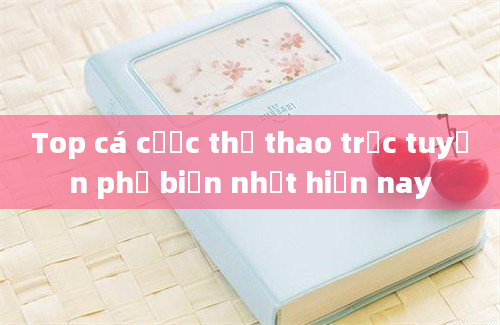 Top cá cược thể thao trực tuyến phổ biến nhất hiện nay