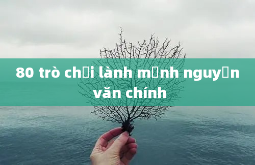 80 trò chơi lành mạnh nguyễn văn chính