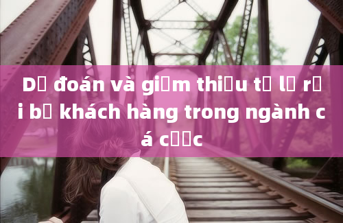 Dự đoán và giảm thiểu tỷ lệ rời bỏ khách hàng trong ngành cá cược