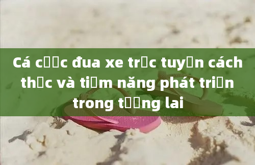 Cá cược đua xe trực tuyến cách thức và tiềm năng phát triển trong tương lai