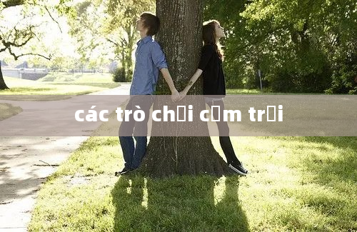 các trò chơi cắm trại