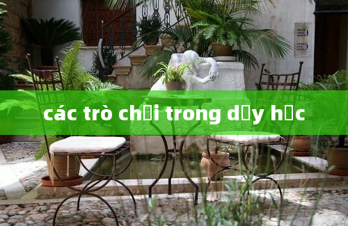 các trò chơi trong dạy học