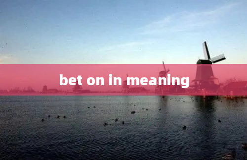 bet on in meaning