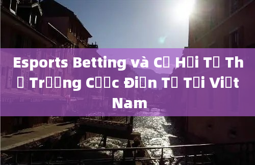 Esports Betting và Cơ Hội Từ Thị Trường Cược Điện Tử Tại Việt Nam