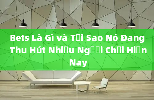 Bets Là Gì và Tại Sao Nó Đang Thu Hút Nhiều Người Chơi Hiện Nay