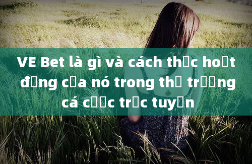 VE Bet là gì và cách thức hoạt động của nó trong thị trường cá cược trực tuyến