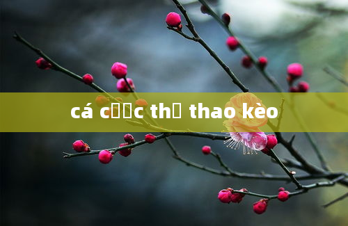 cá cược thể thao kèo