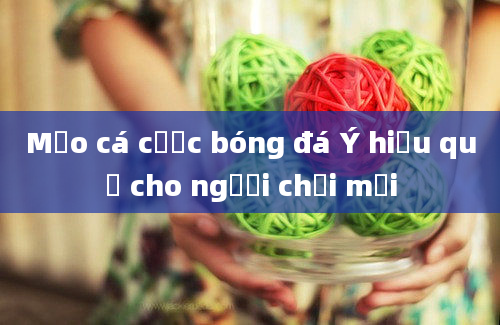 Mẹo cá cược bóng đá Ý hiệu quả cho người chơi mới