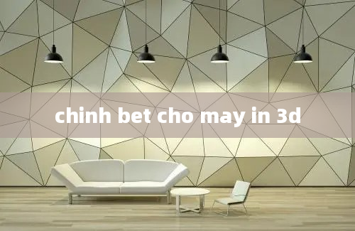 chinh bet cho may in 3d