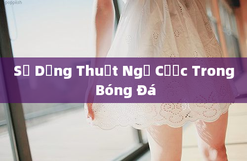 Sử Dụng Thuật Ngữ Cược Trong Bóng Đá