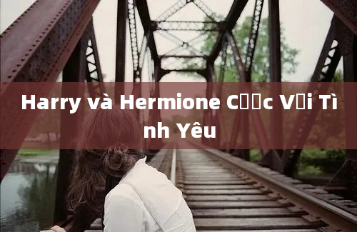 Harry và Hermione Cược Với Tình Yêu